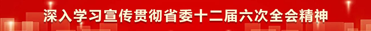 深入学习宣传贯彻省委十二届六次全会精神